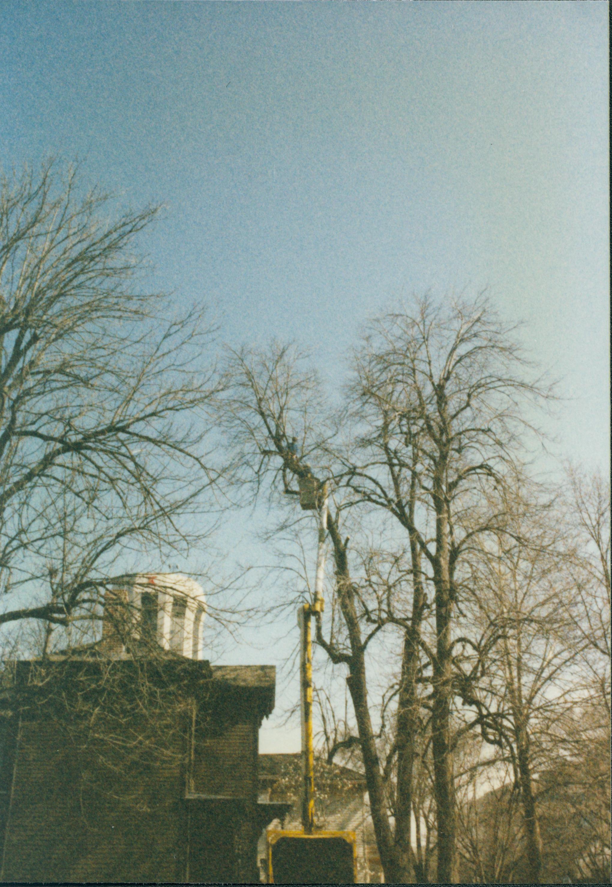 Dean House Lincoln Home NHS- Dean House tree trimming Dean House, tree trimming