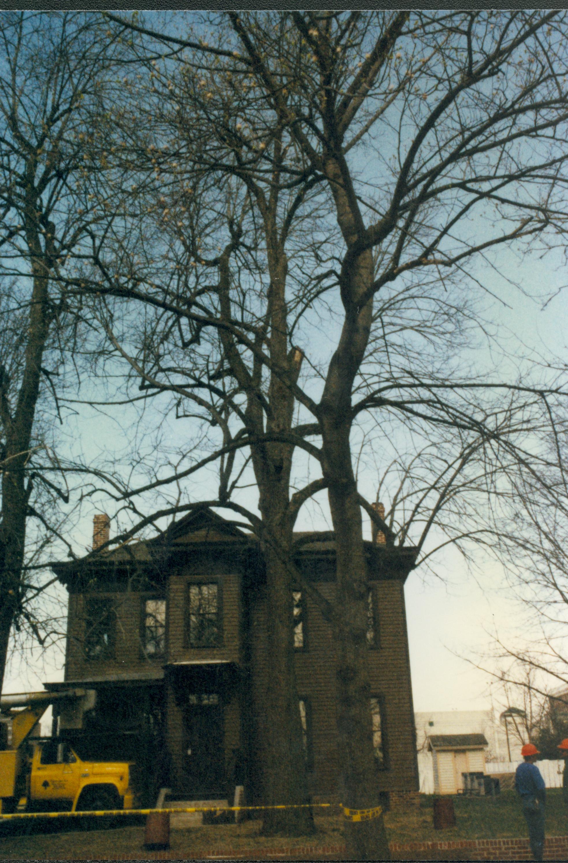 Dean House Lincoln Home NHS- Dean House tree trimming Dean House, tree trimming