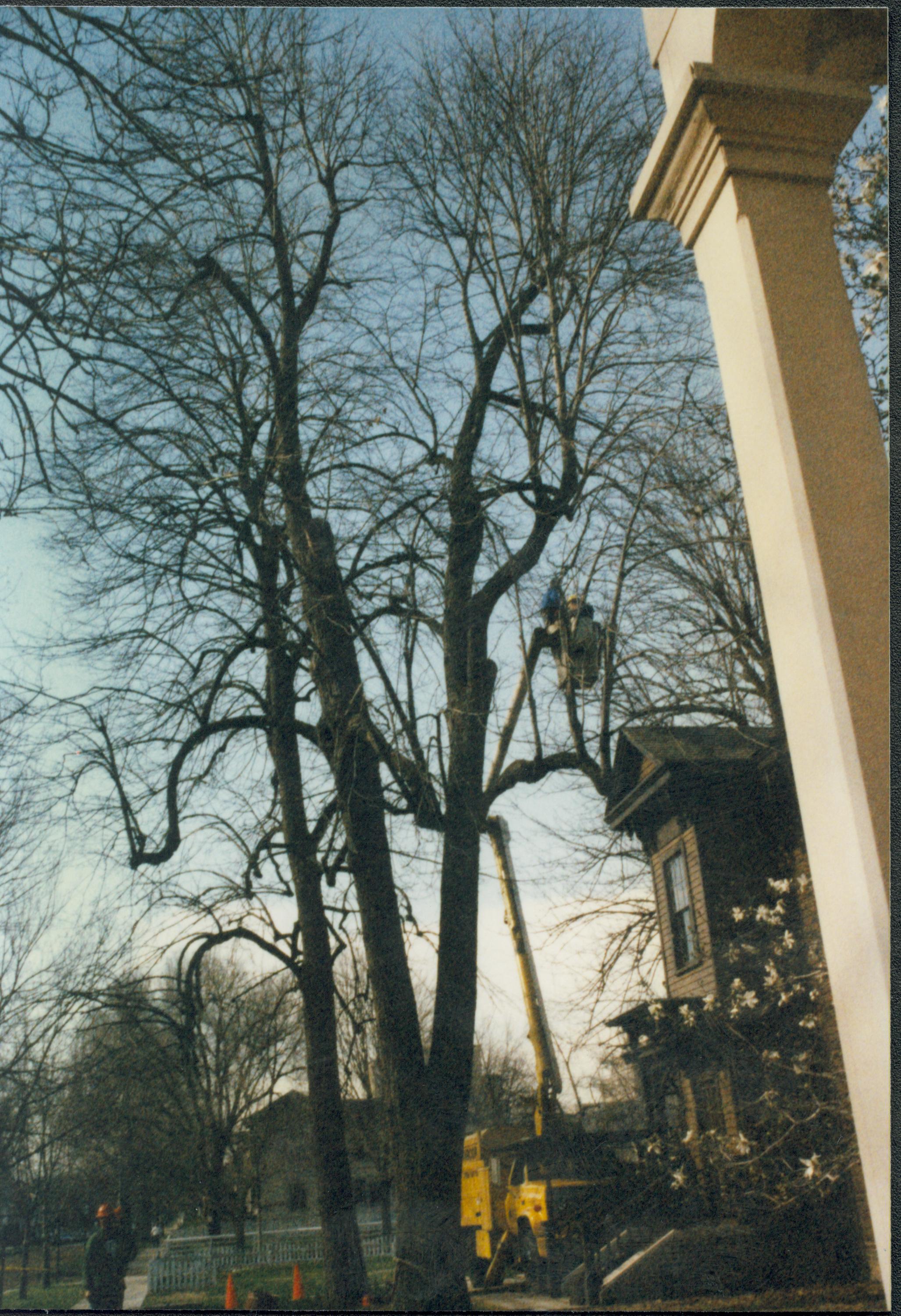 Dean House Lincoln Home NHS- Dean House tree trimming Dean House, tree trimming