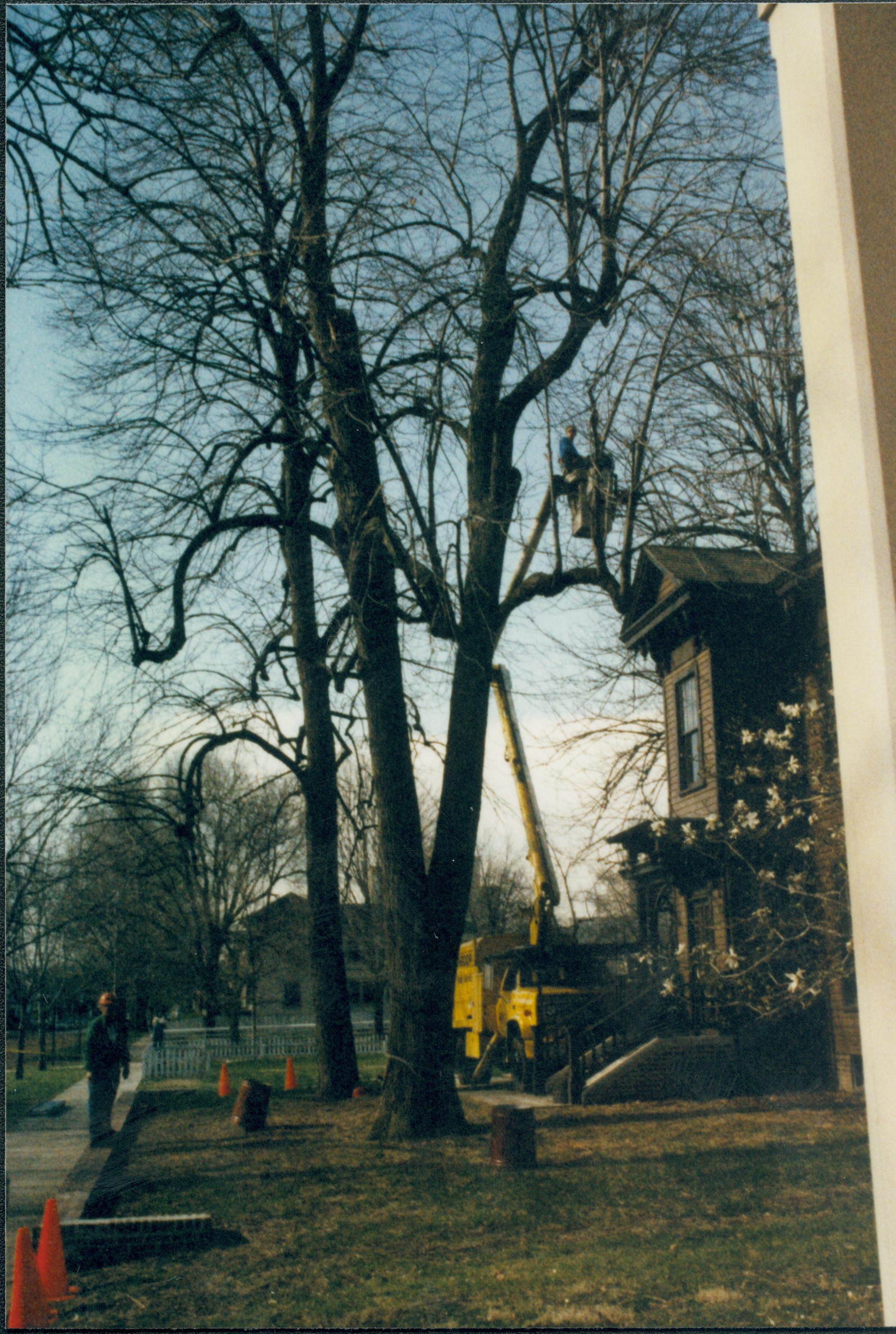 Dean House Lincoln Home NHS- Dean House tree trimming Dean House, tree trimming