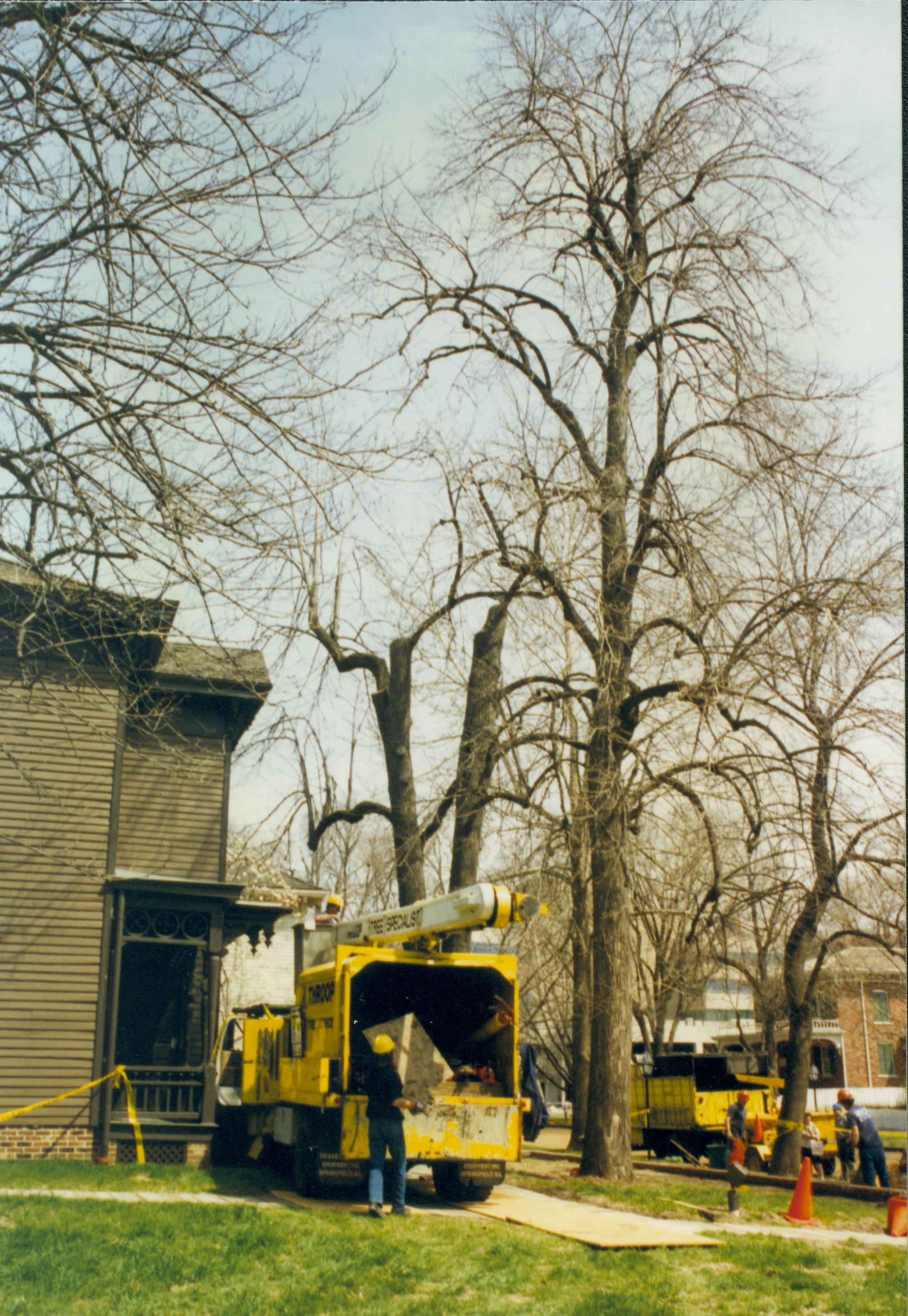 Dean House Lincoln Home NHS- Dean House tree trimming Dean House, tree trimming