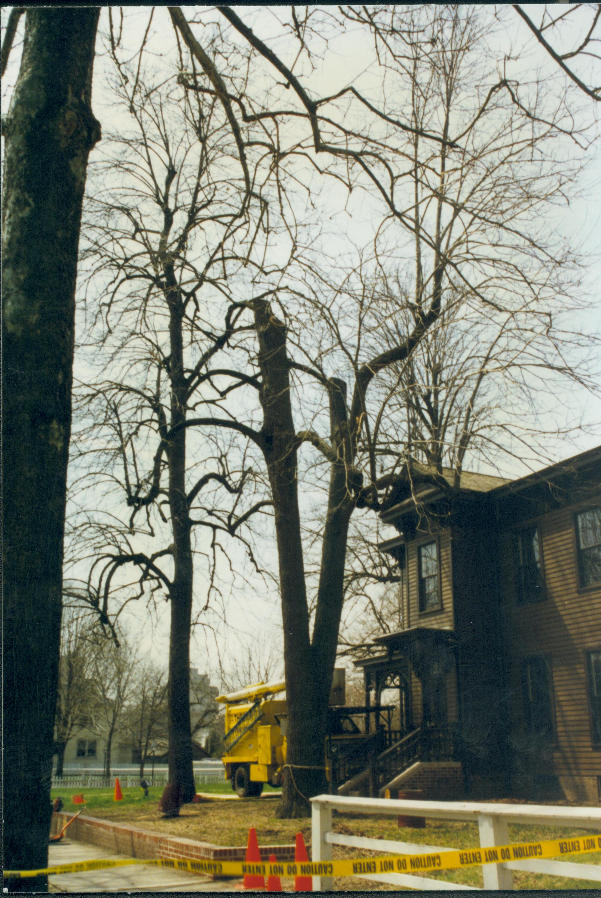 Dean House Lincoln Home NHS- Dean House tree trimming Dean House, tree trimming