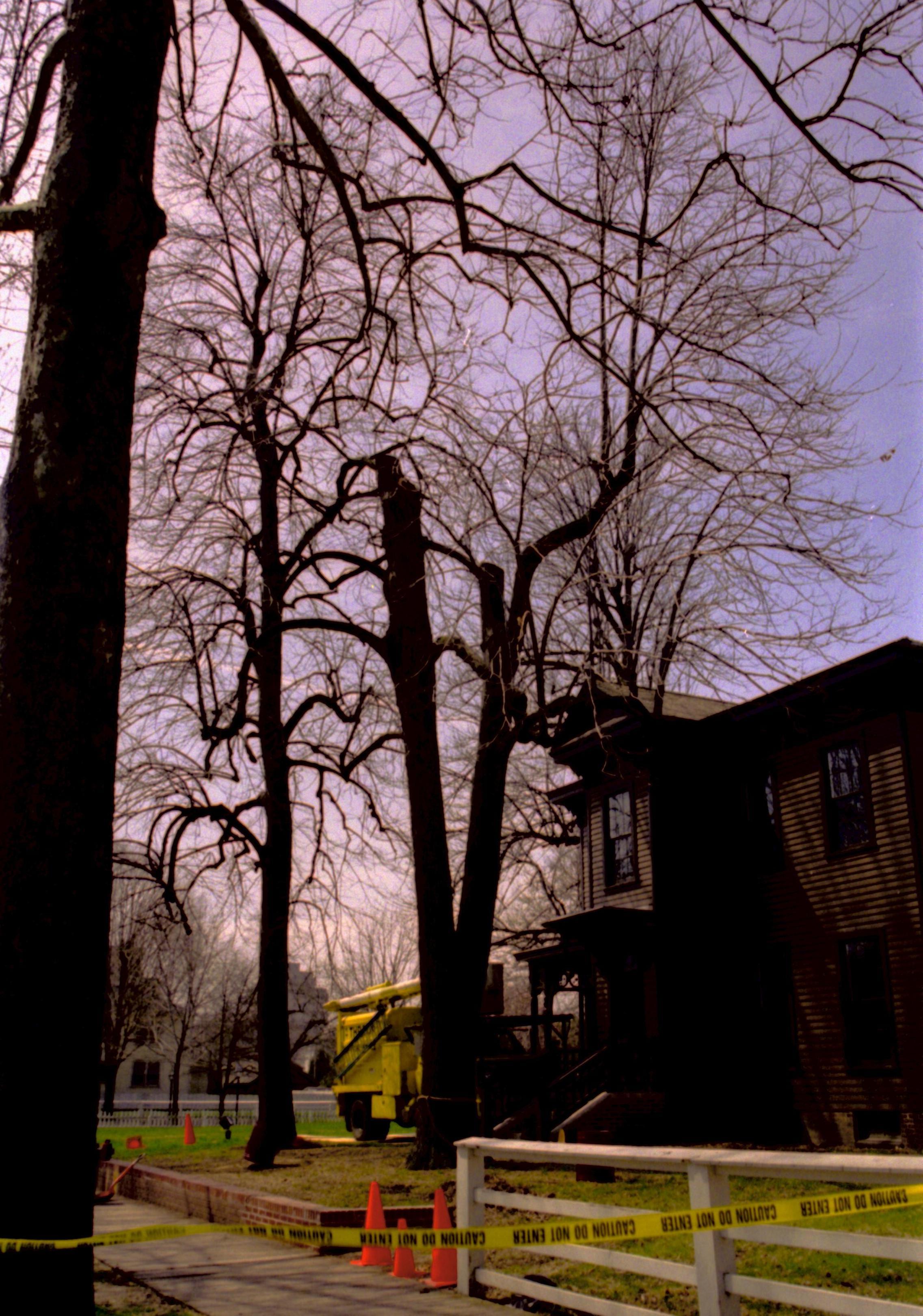 Dean House Lincoln Home NHS- Dean House tree trimming Dean House, tree trimming