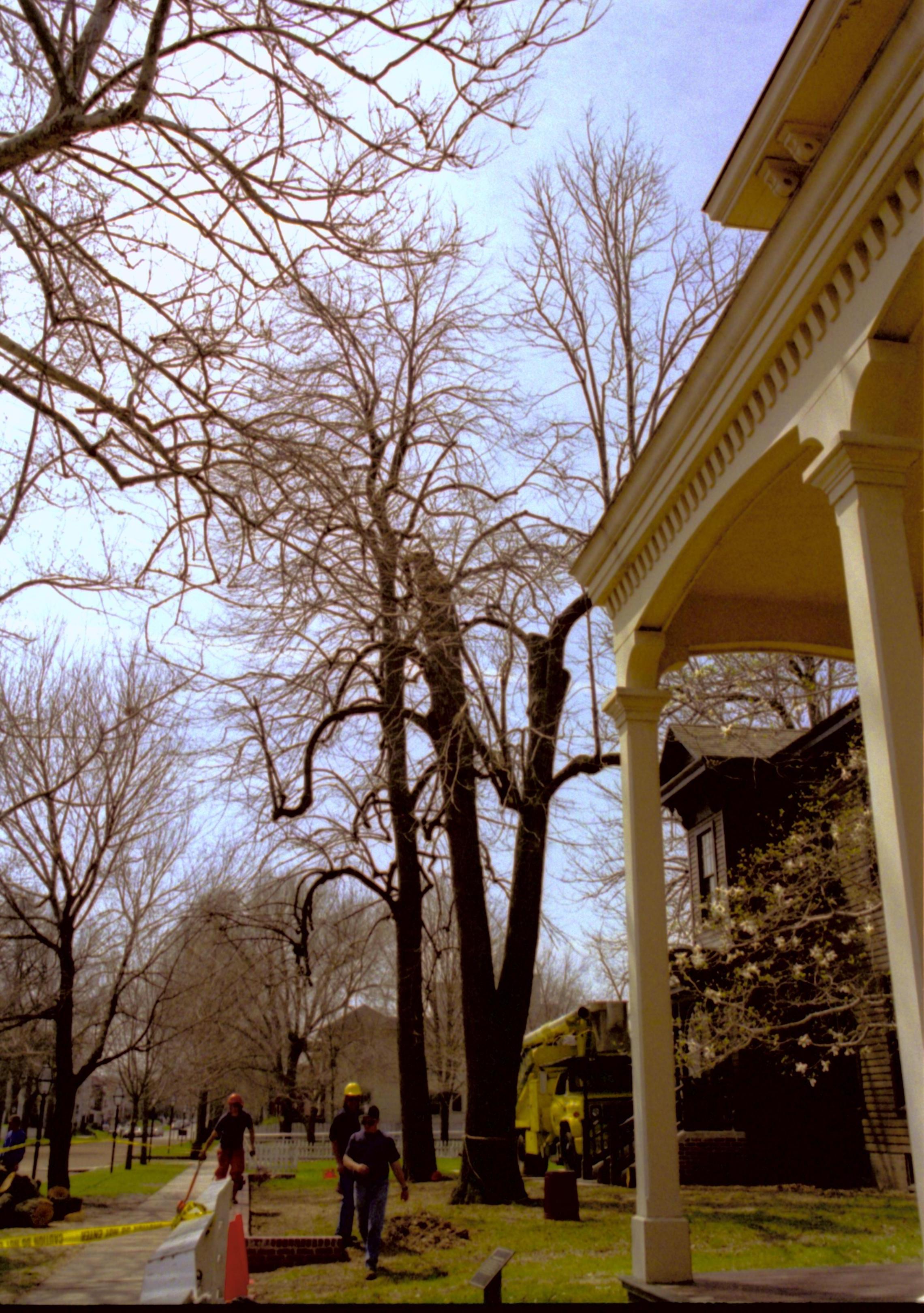 Dean House Lincoln Home NHS- Dean House tree trimming Dean House, tree trimming