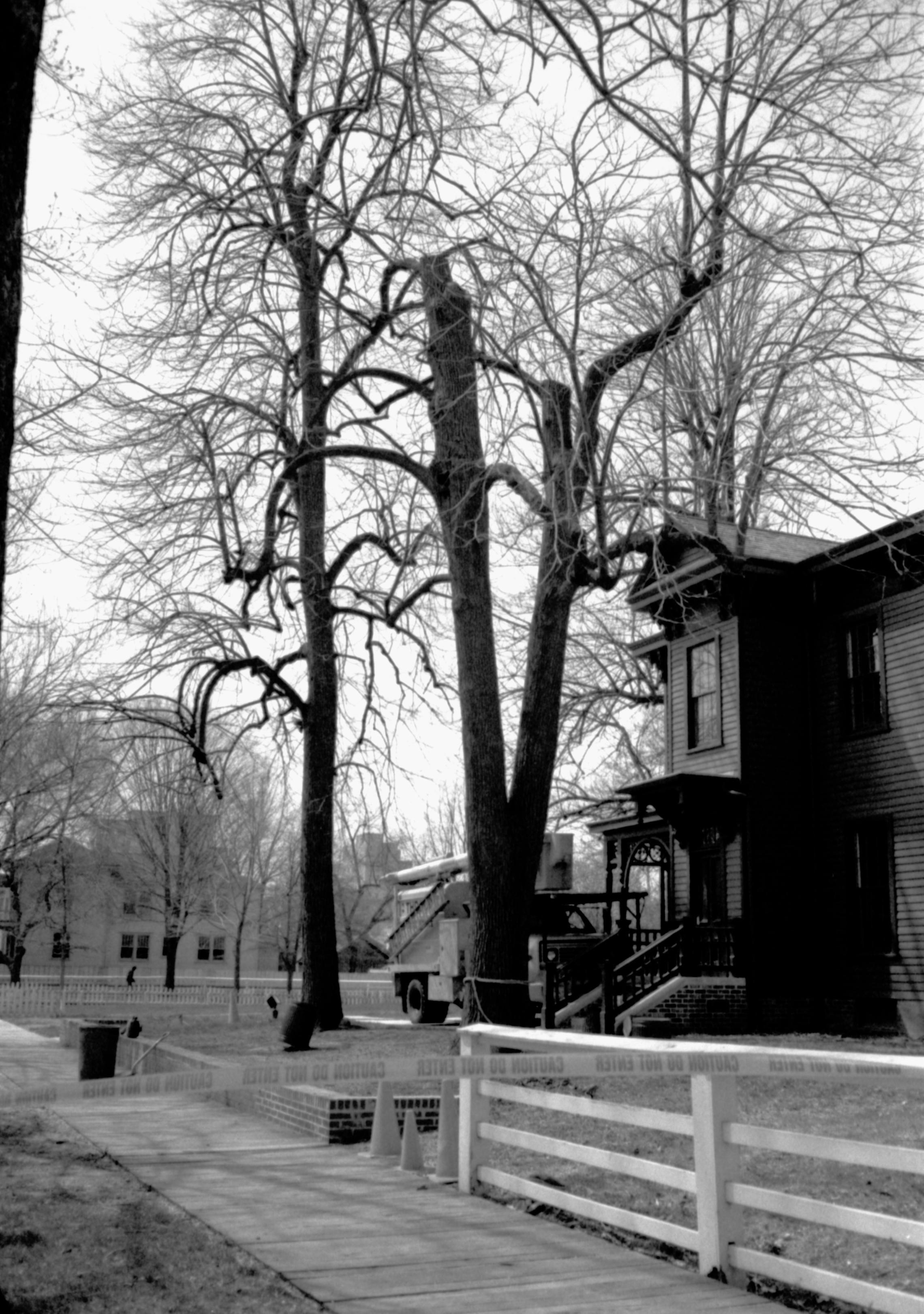 Dean House Lincoln Home NHS- Dean House tree trimming Dean House, tree trimming