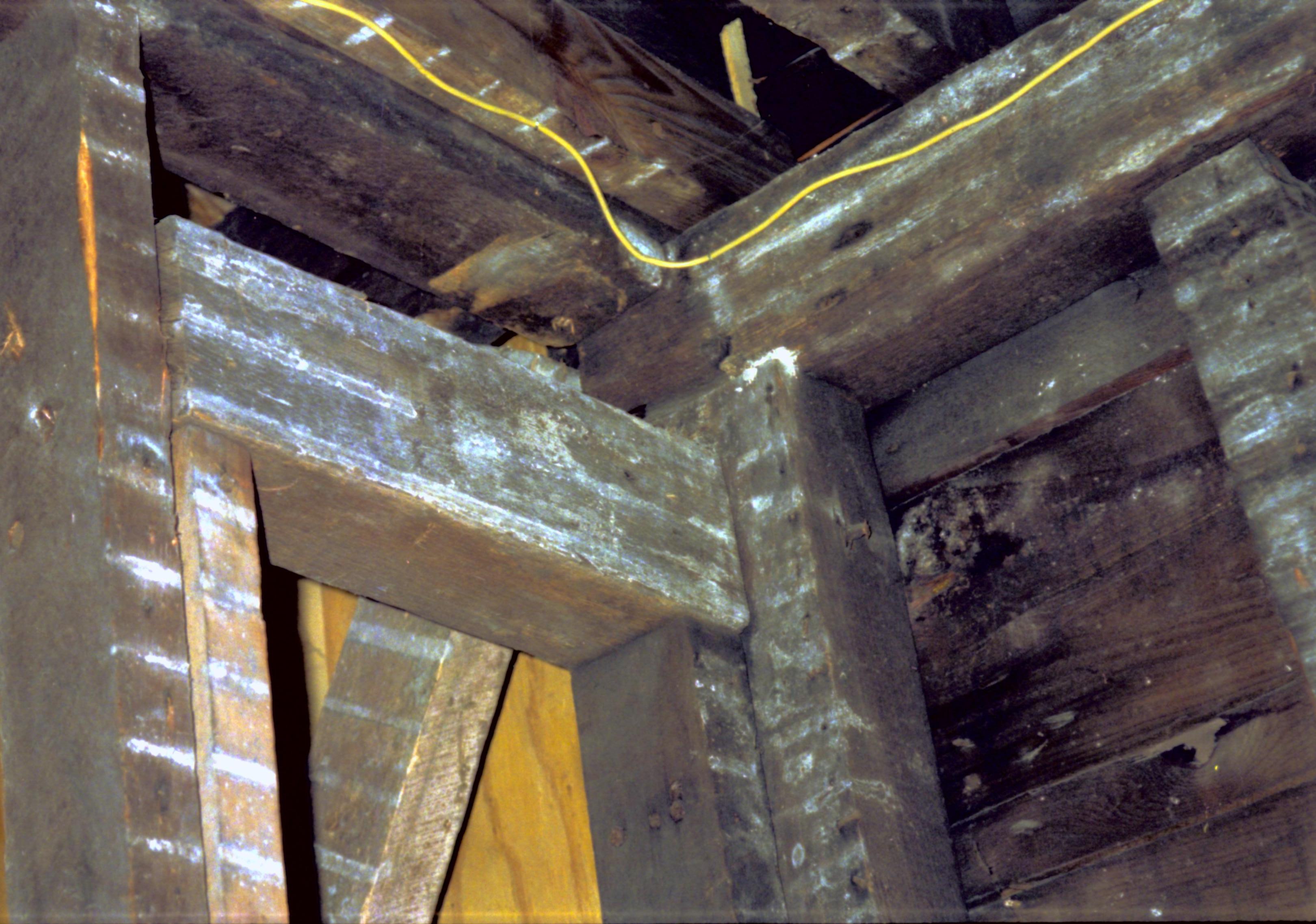 NA Lincoln Home NHS- Cook House, 1989, 114A Cook House, restoration