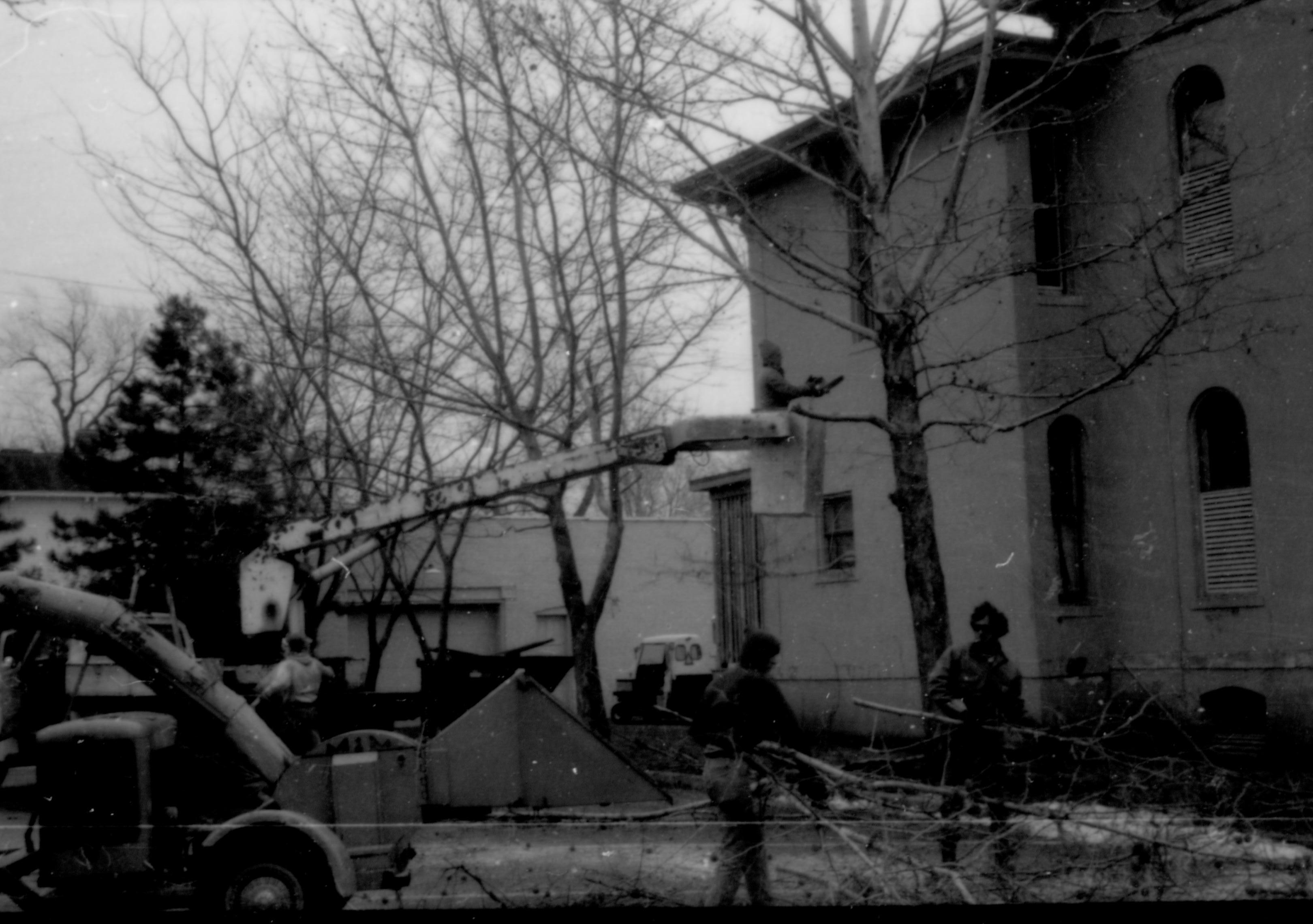 Tree trimming in visitor parking lot Lincoln Home NHS- Cook House Cook House