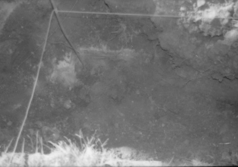 Corneau House Lincoln Home NHS- Corneau House archeology Corneau House, archeology