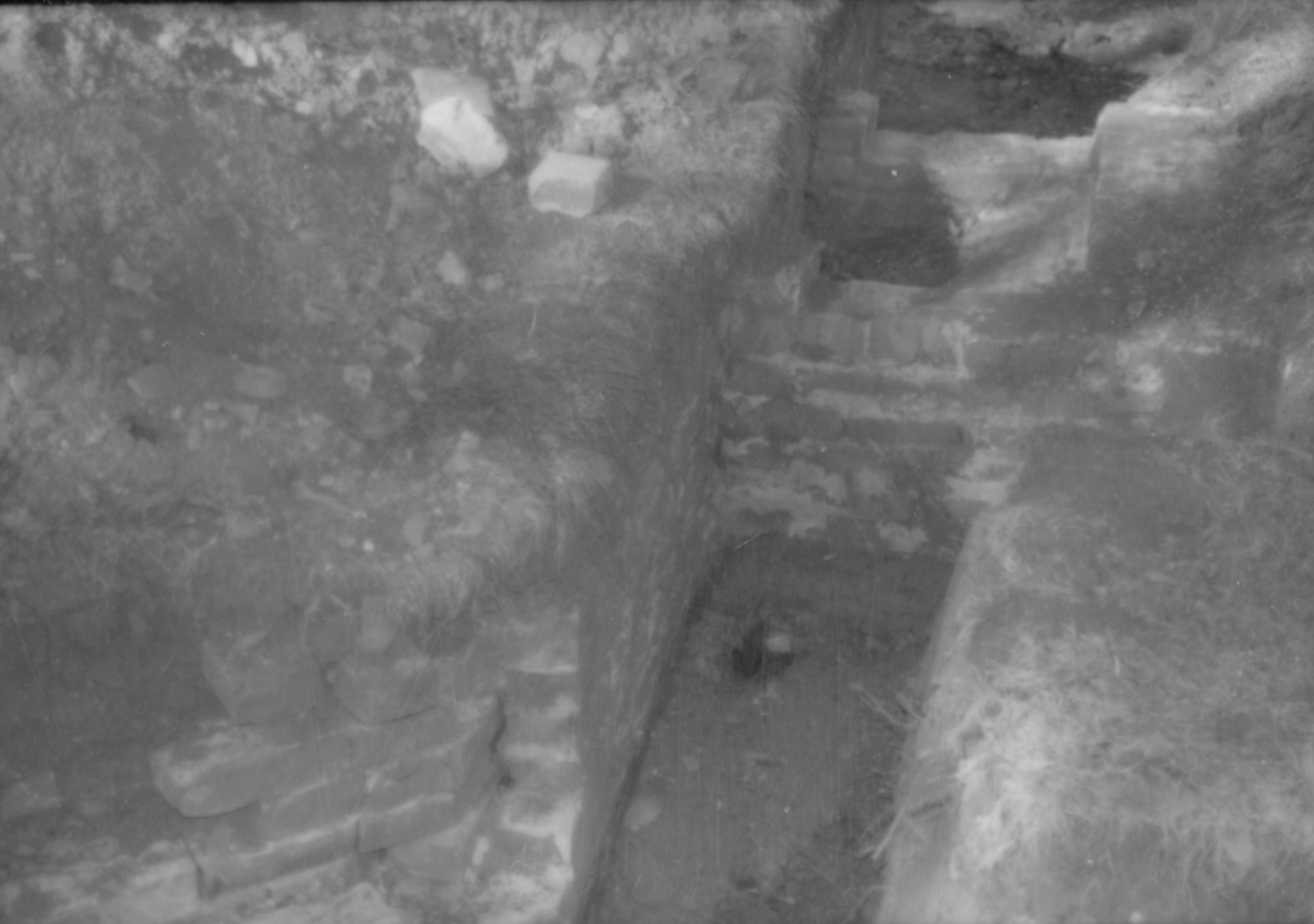 Corneau House Lincoln Home NHS- Corneau House archeology Corneau House, archeology