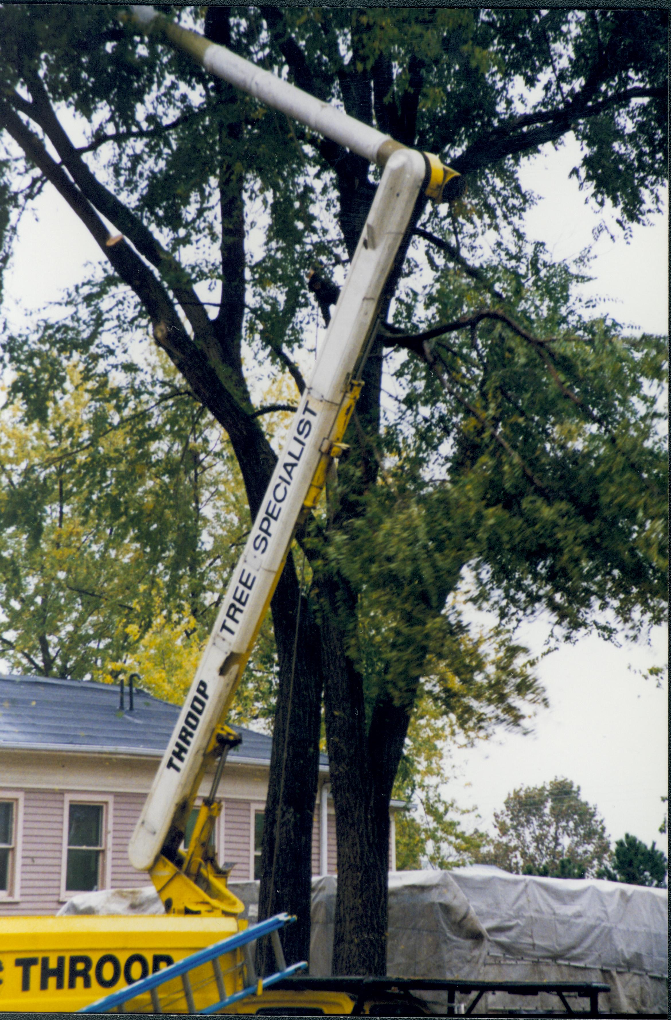 Cutting down trees at Southwest corner of 8th/Jackson intersection; in prep for moving Corneau House to front of lot. Photo taken from intersection. Northeast corner of Miller in background Lincoln Home NHS- Corneau House and Lot, Roll N5 exp 3 Corneau, move