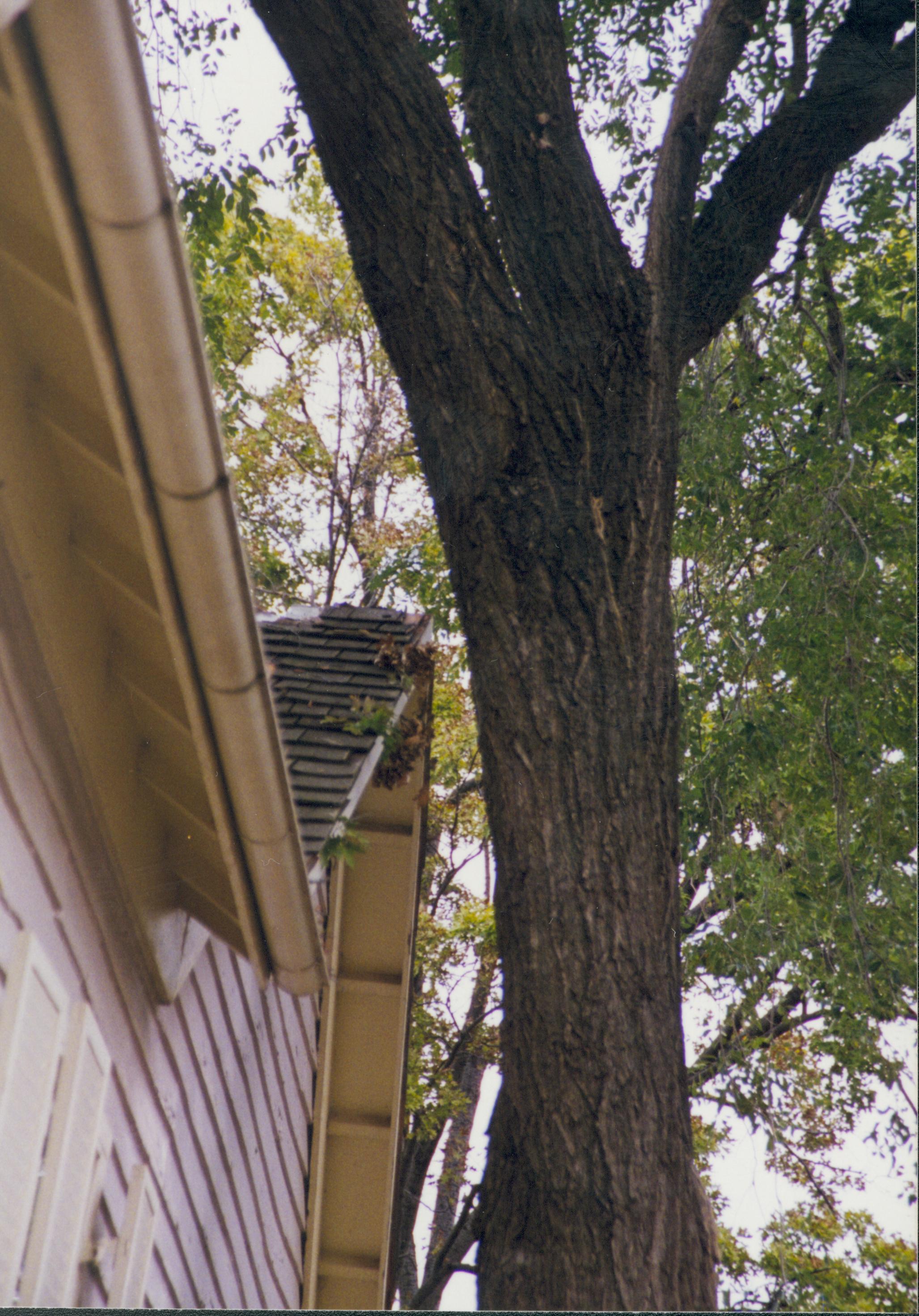 Corneau House move; clearance of tree Lincoln Home NHS- Corneau House move, exp 3 Corneau House, move