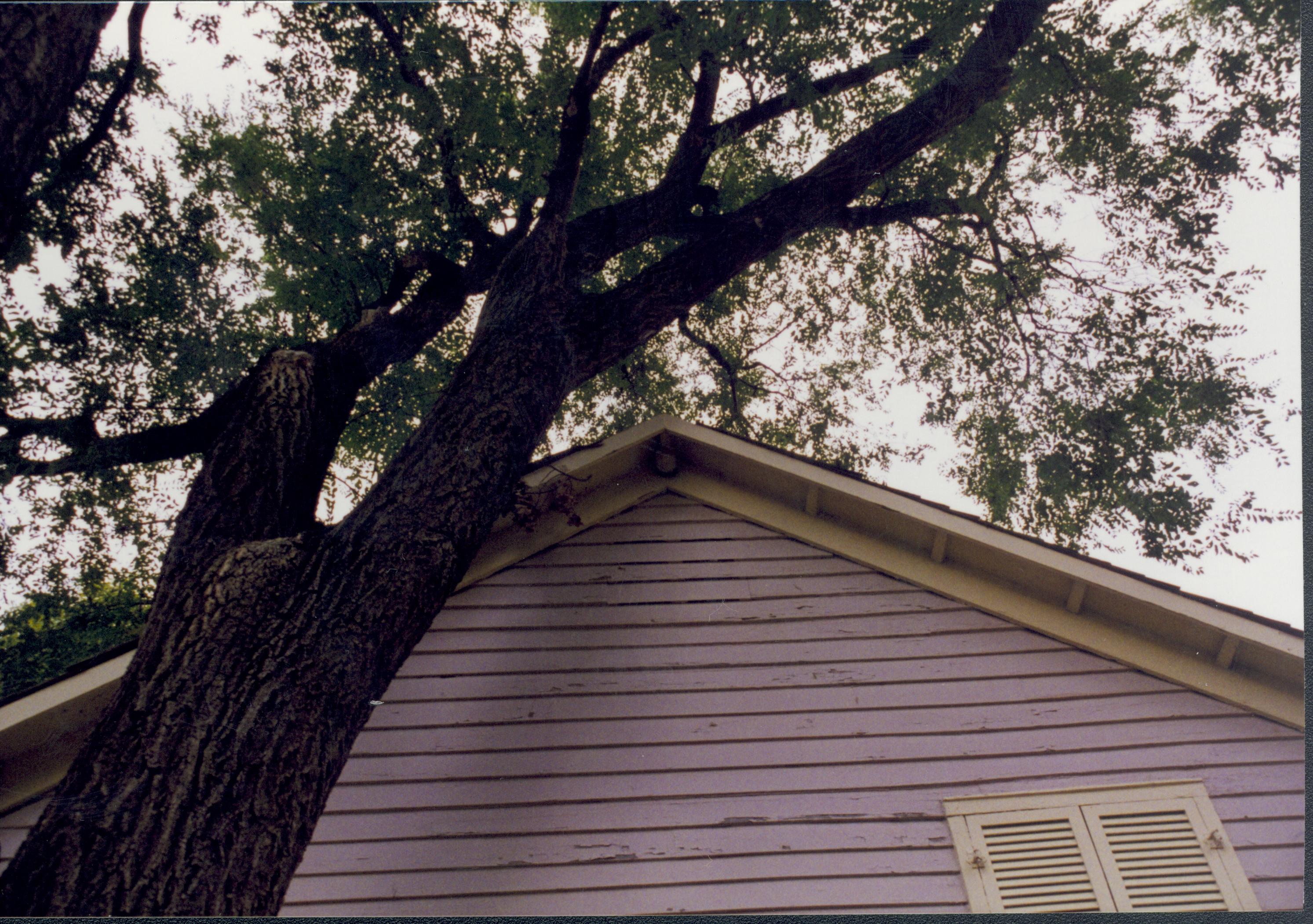 Corneau House move; clearance of tree Lincoln Home NHS- Corneau House move, exp 4 Corneau House, move