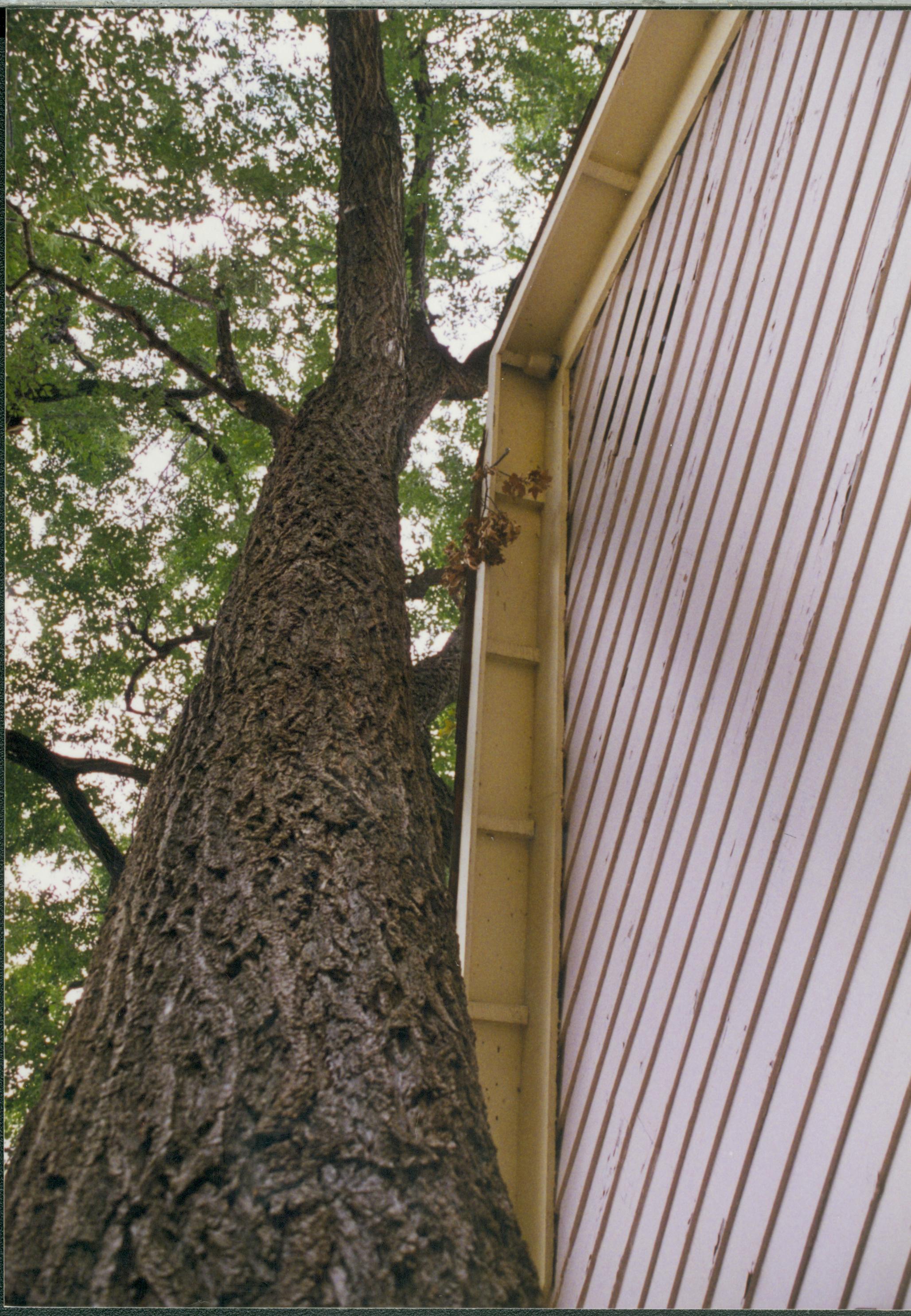 Corneau House move; clearance of tree Lincoln Home NHS- Corneau House move, exp 5 Corneau House, move