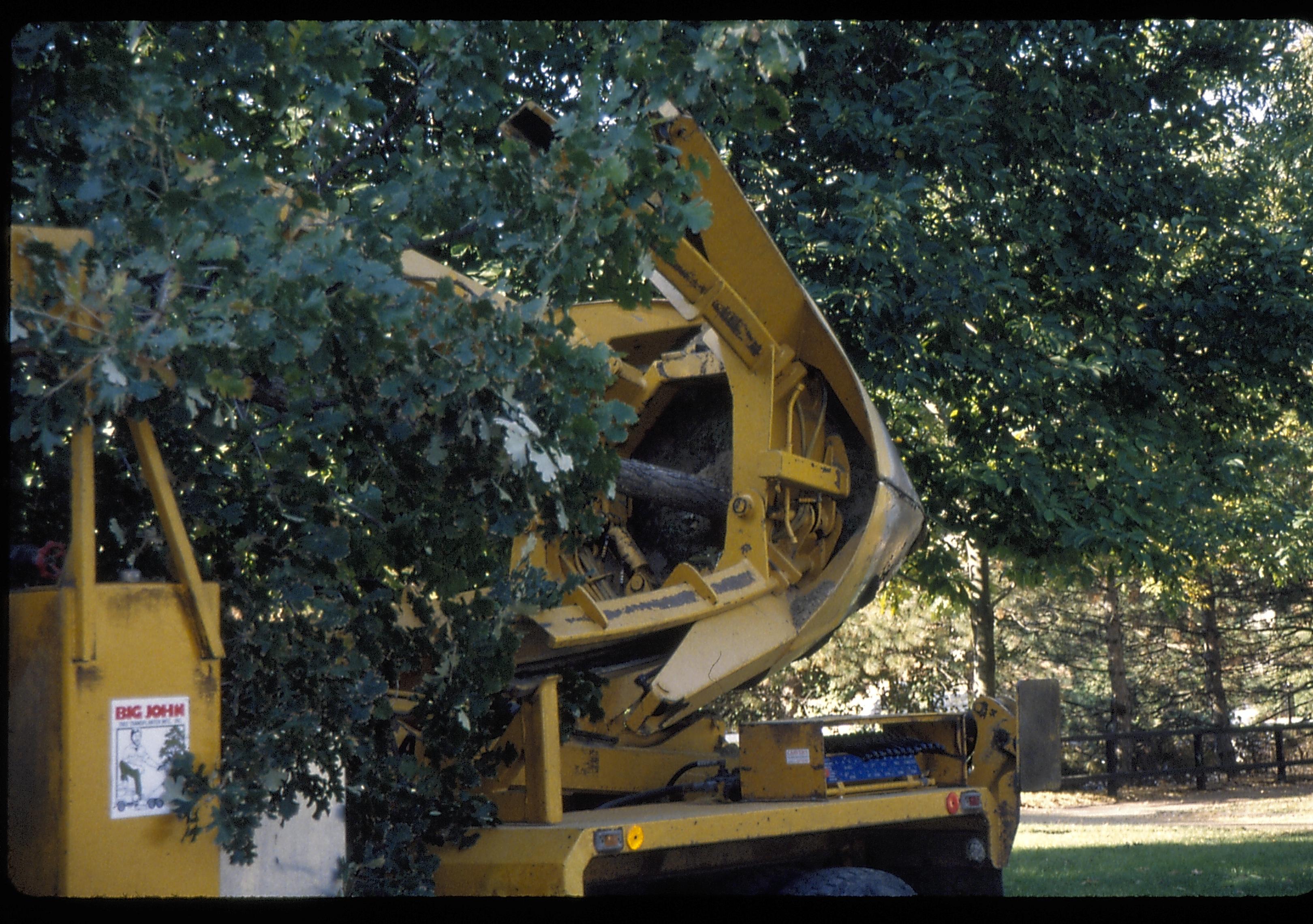 close up of tree in holding Lincoln Home NHS- Corneau House move, Roll #1 color slides, exp 14 Corneau House, move