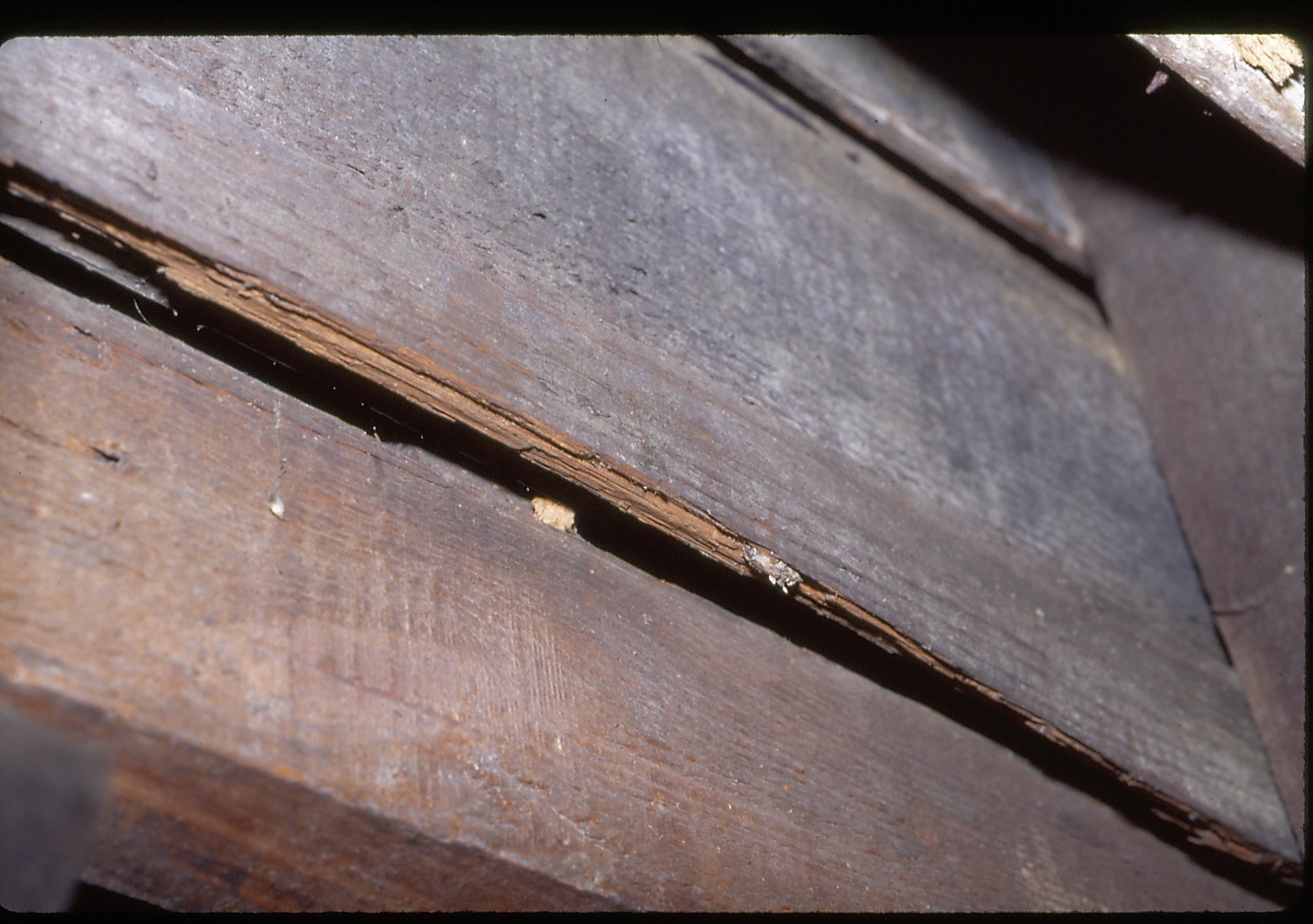 Original exterior siding LIHO NHS- Arnold House, 22 Arnold House