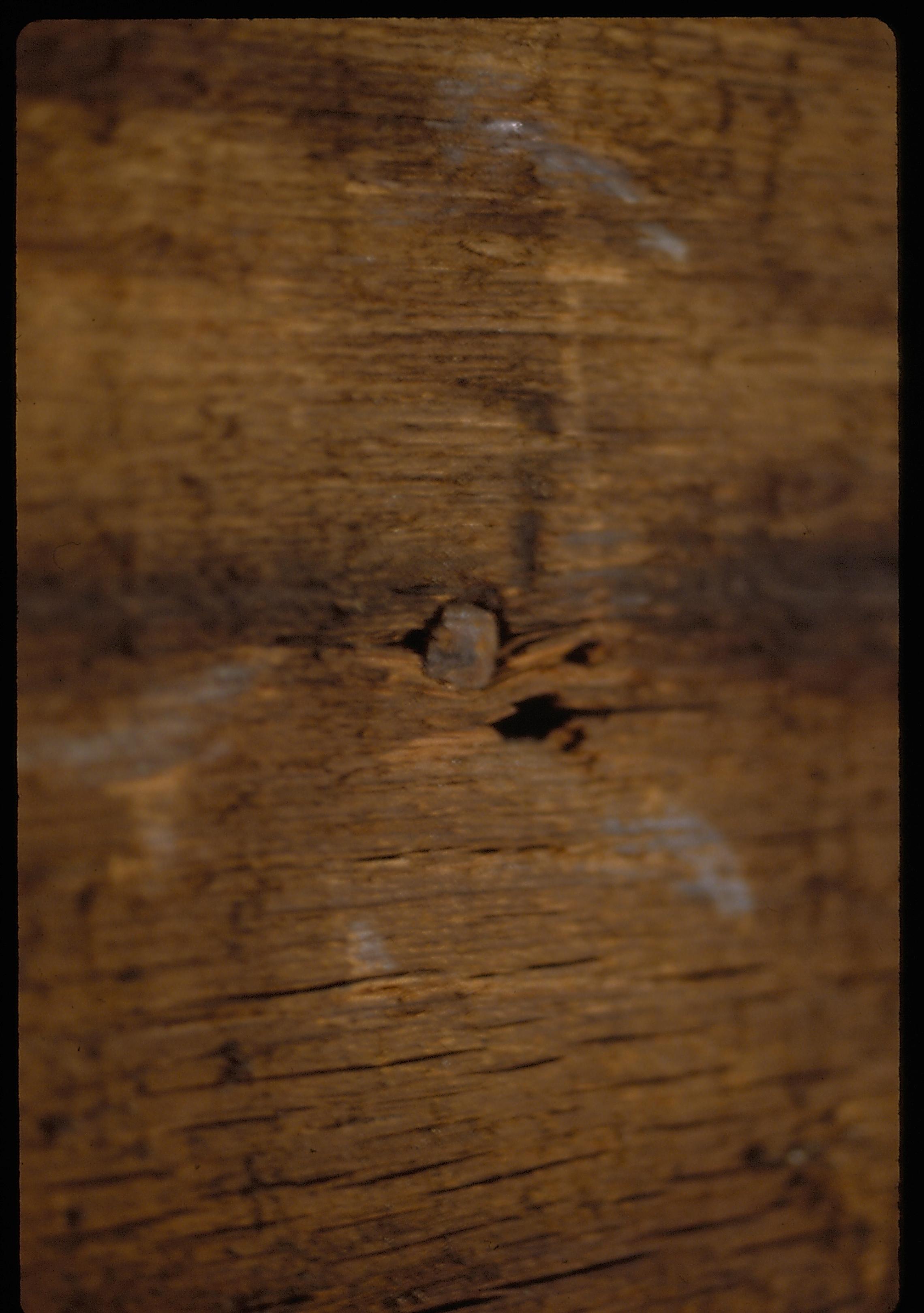 Arnold House, square head nail in oak sheathing LIHO NHS- Arnold House, 12 Arnold House, renovation