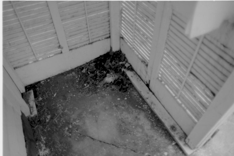 111 @ grade Morse House, LIHO-NHS, Frame #12, Neg. File #6 Morse House, Exterior, Renovation