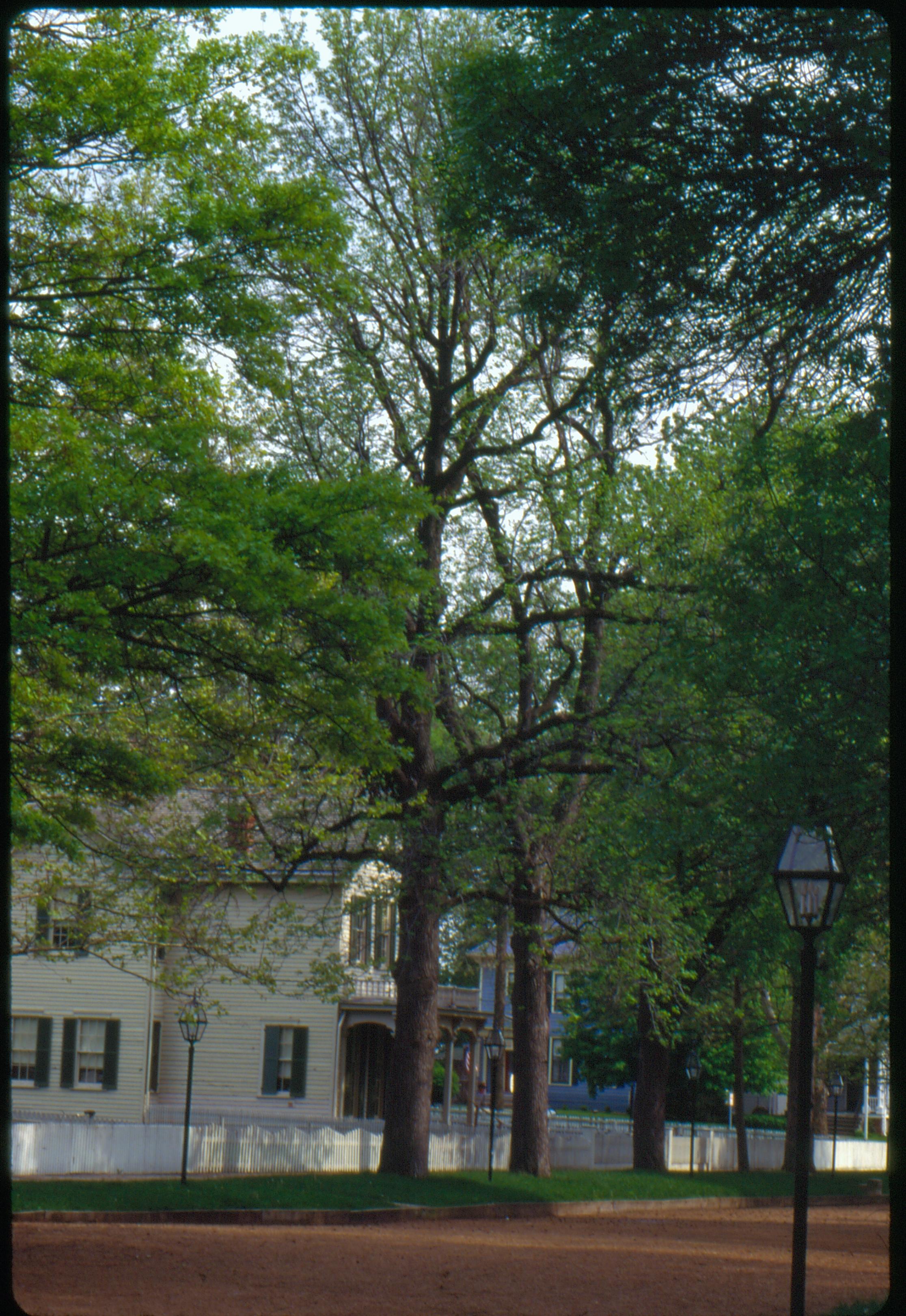 NA Robinson House