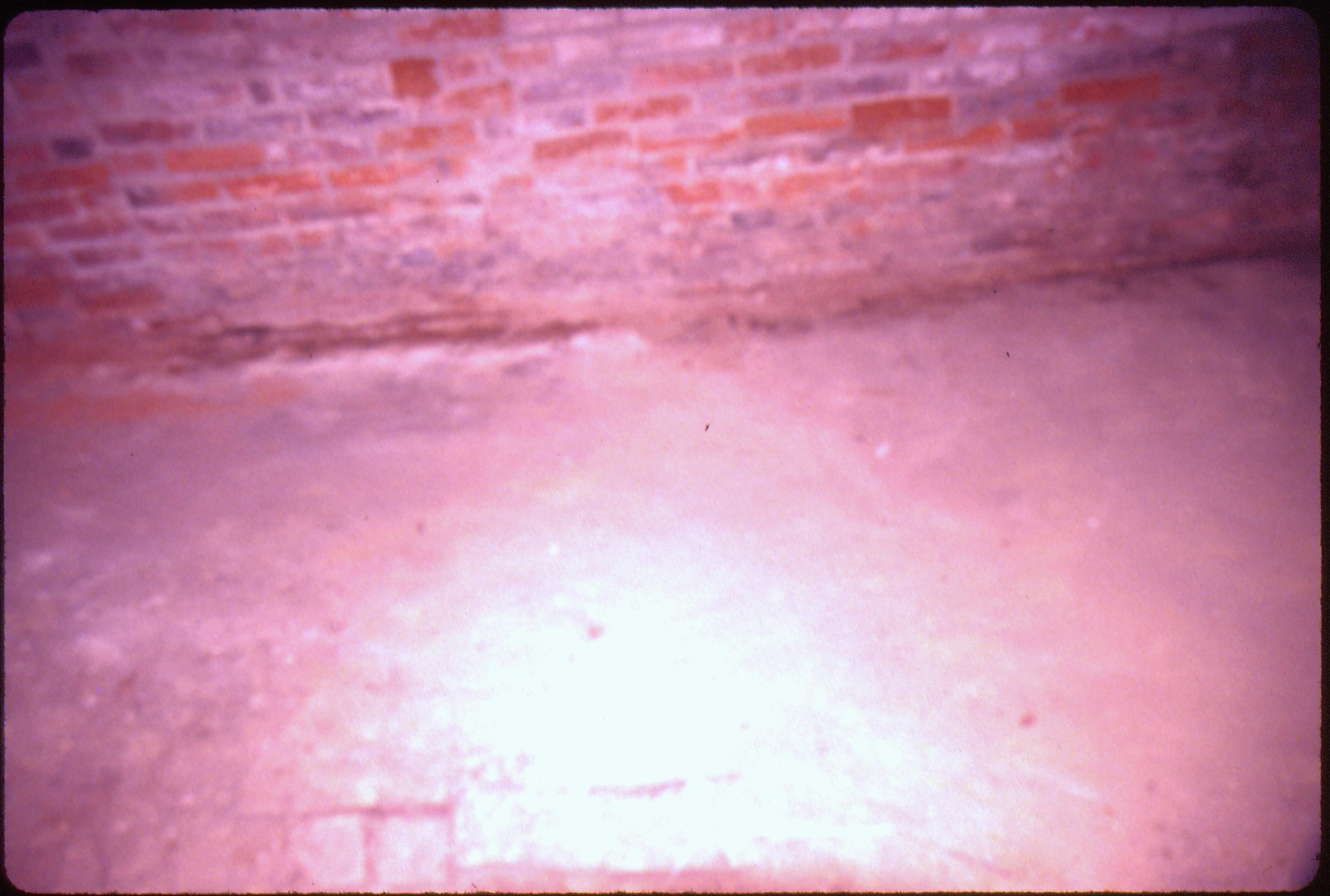 Lyon House - basement, floor brick pattern (overexposed), brick wall Looking East in basement Lyon, Basement, brick wall, brick floor