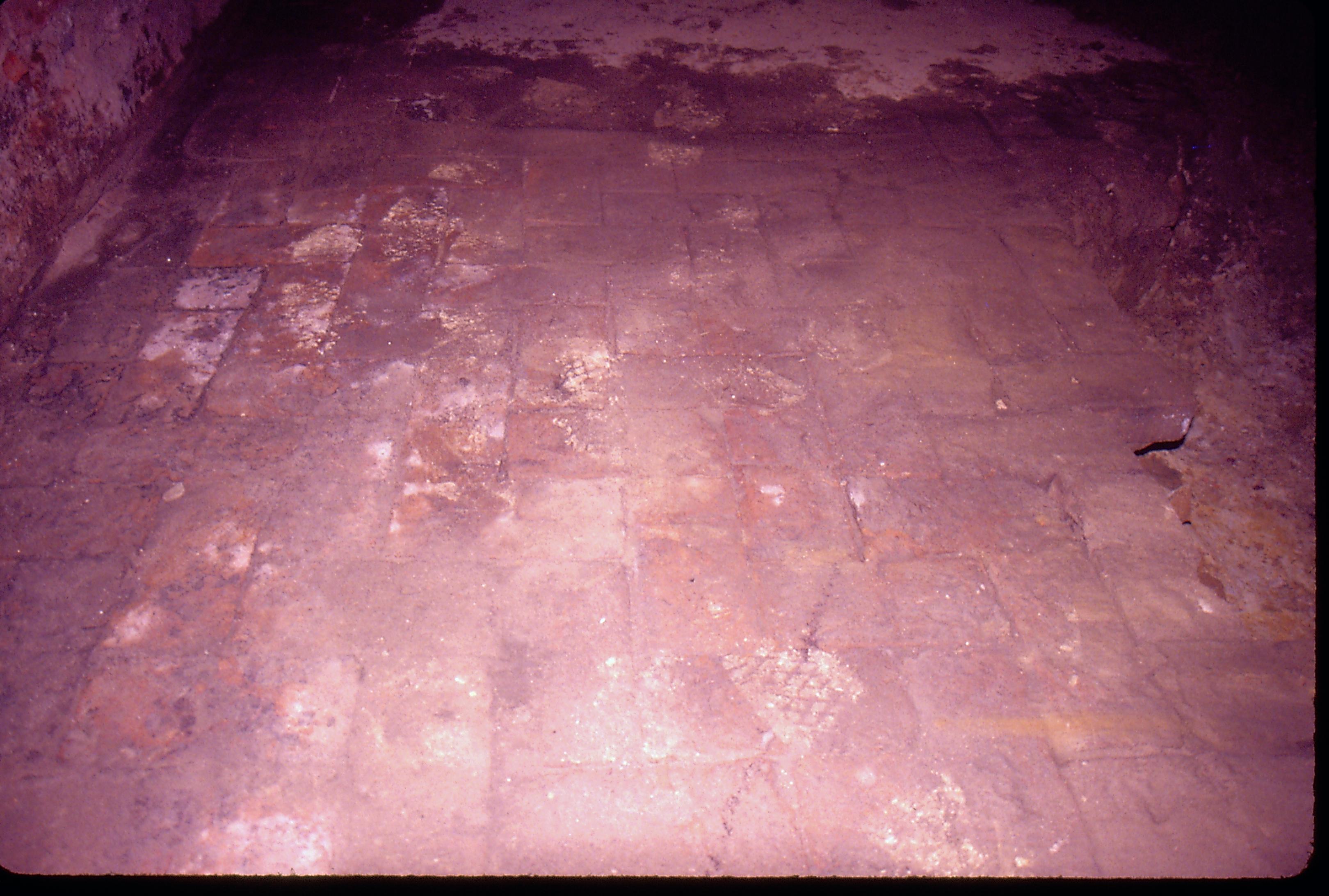 Lyon House - basement, brick floor pattern, detail Looking South from basement Lyon, Basement, brick floor