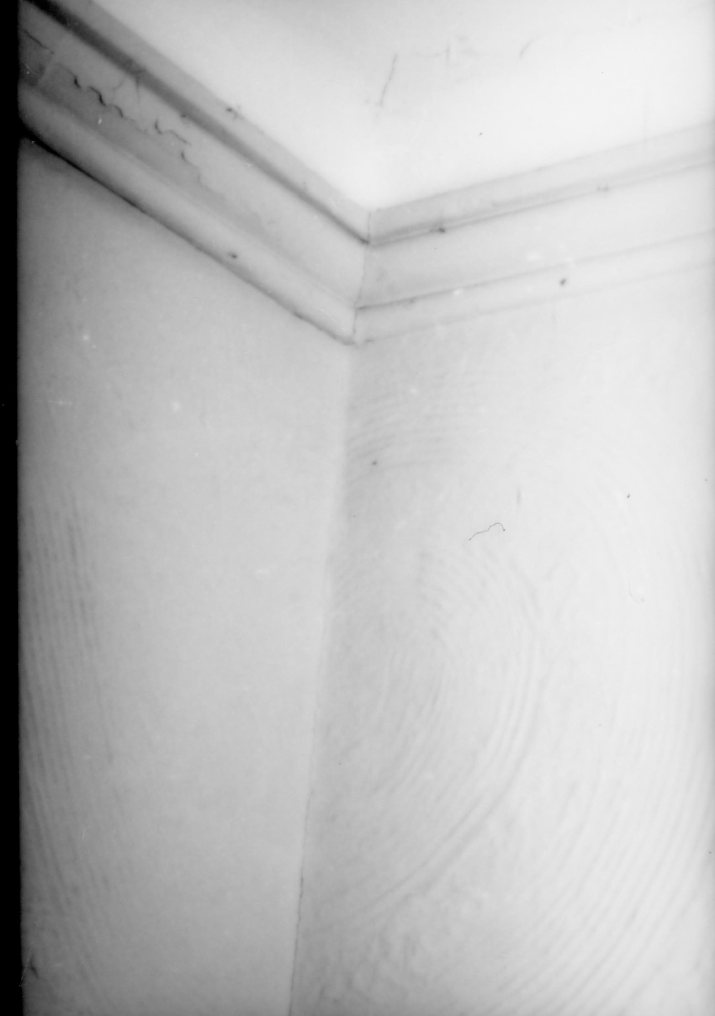 Purpose: Document existing conditions before major removals begin; Stuve House, first floor, Room 110, southwest corner, cornice and ornamental plaster relief detail Lincoln Home NHS- Stuve House HS-05-009, exp 3 Stuve House, removals