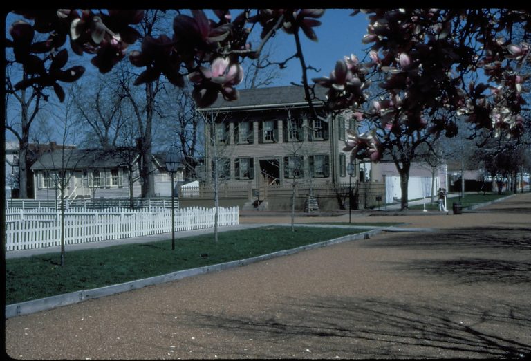 NA frame#6 Lincoln, home, tree blossoms
