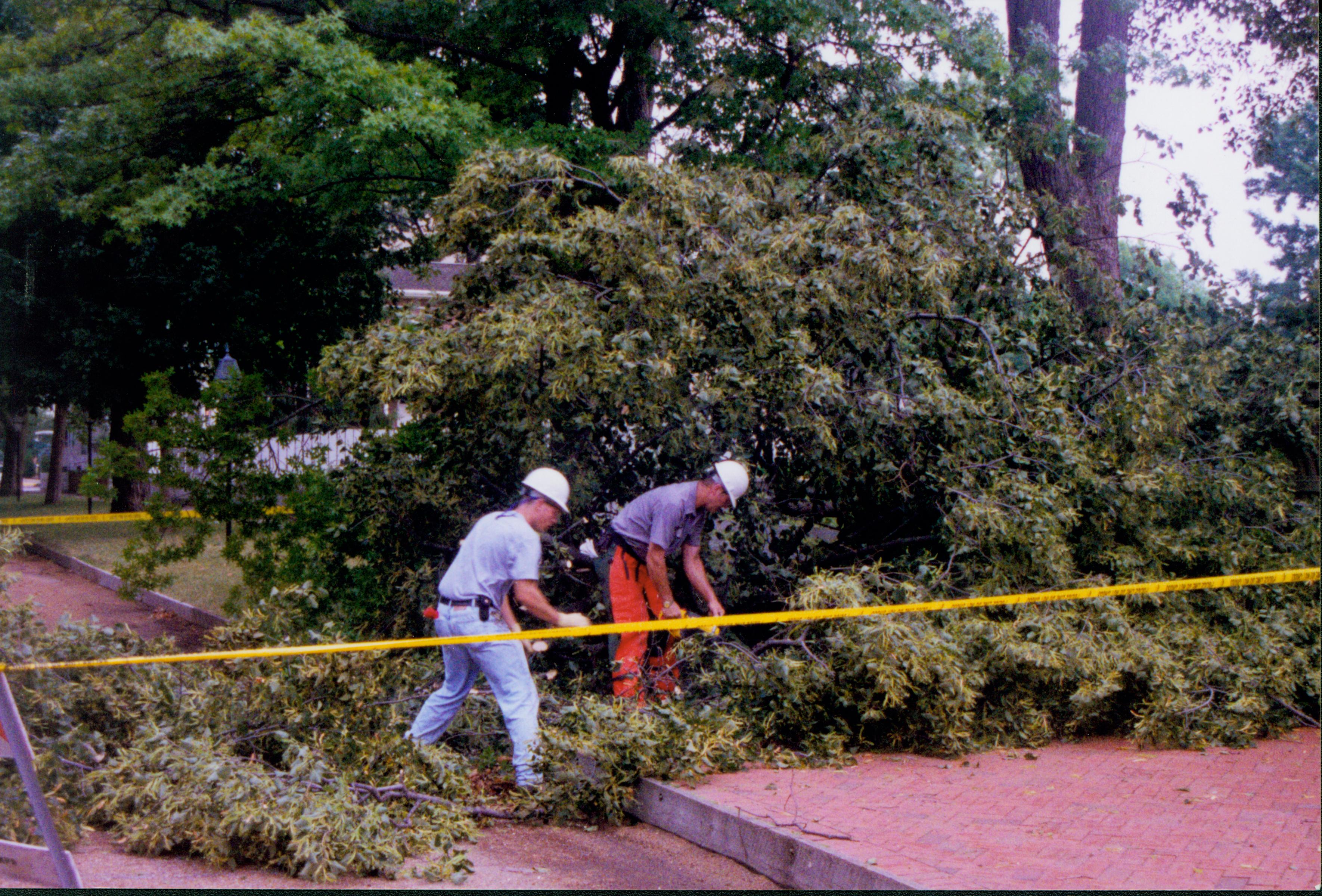 Two staff mambers remove a fallen tree near the Lincoln Home, on the brick plaza along Eighth Street. Photographer facing north east.