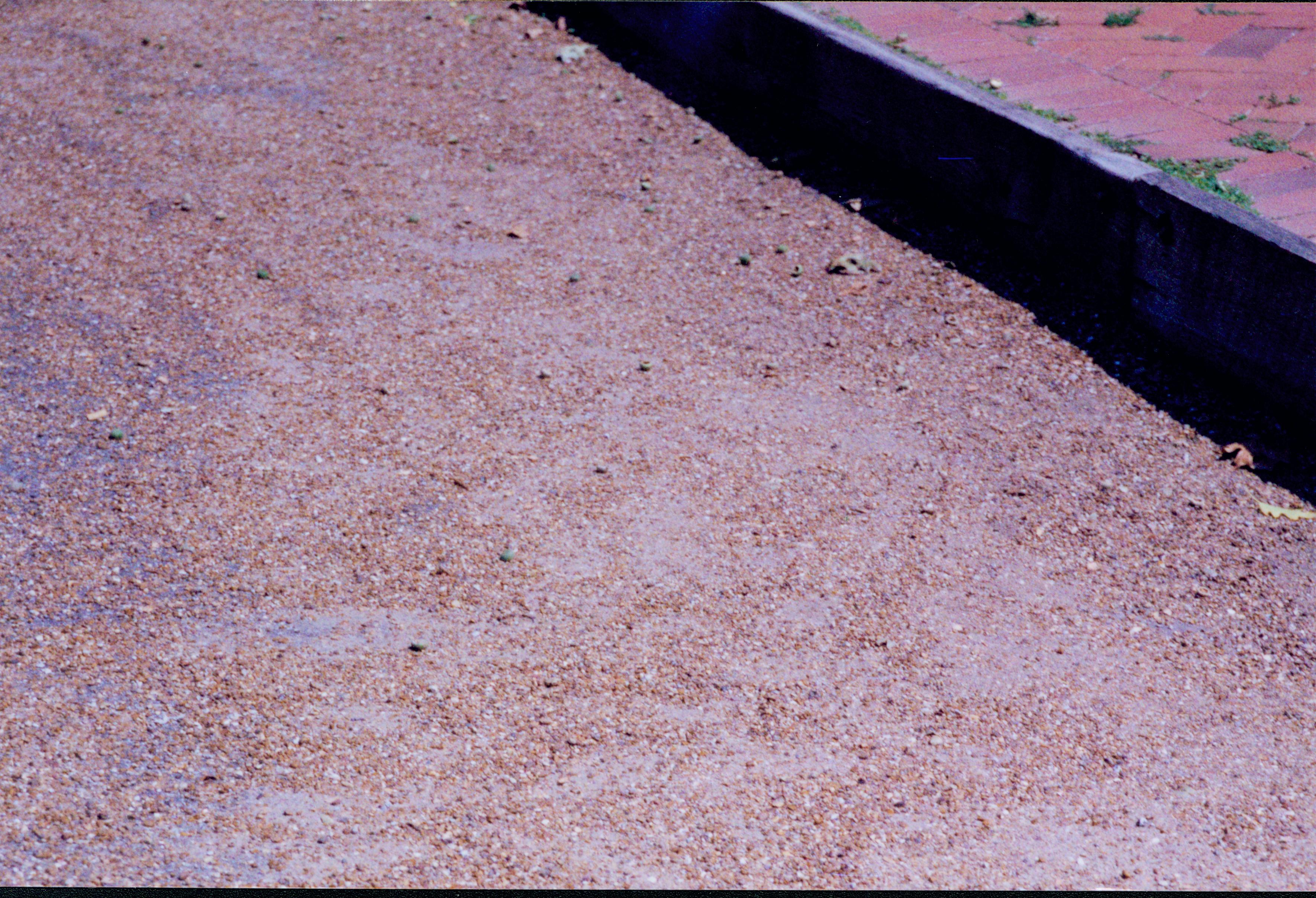 Close-up of gravel on Eighth Street, near Lincoln Home curb. Photographer facing north east.