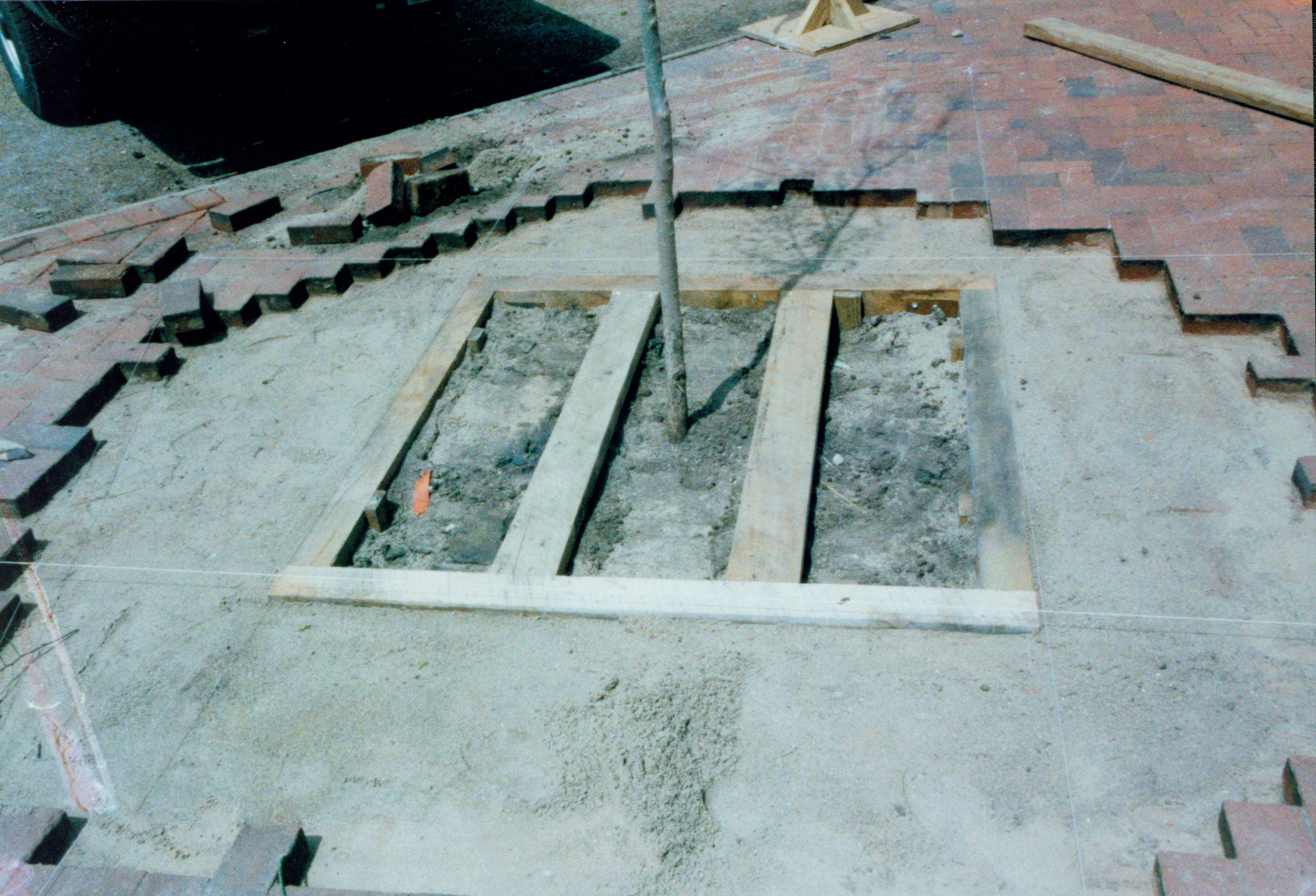 Elm tree replacement - new wooden base for new elm tree in brick plaza in front of Lincoln Home. Looking Northwest from brick plaza Elm tree, brick plaza, Lincoln Home